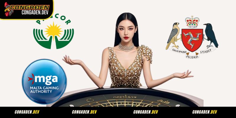 Các loại giấy phép mà Congaden hiện đang sở hữu