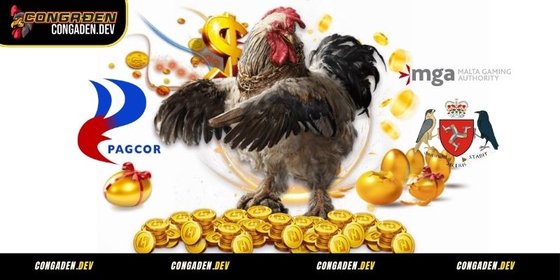 Giới thiệu Congaden về giấy phép hoạt động & cơ quan quản lý