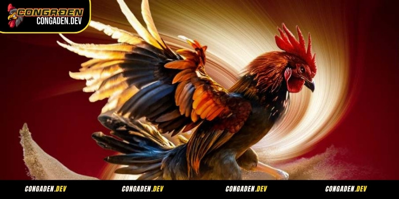 Giới thiệu Congaden về khu vực hoạt động và độ phủ sóng tại Việt Nam