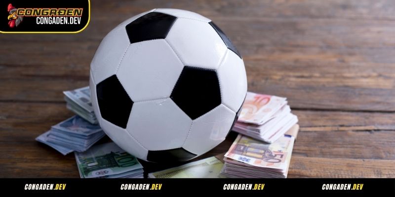 Mẹo soi kèo bóng đá từ chuyên gia Congaden bạn cần nắm