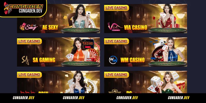 Những nhà phát hành sảnh live casino uy tín đang hợp tác cùng Congaden