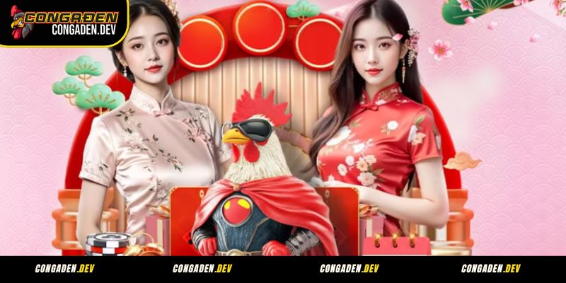Trách nhiệm của Congaden đối với người chơi